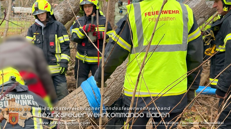 20251127_Person in Tribuswinkel unter Baum eingeklemmt - Feuerwehr kann Mann retten Foto: Thomas Rsach FF Tribuswinkel 20251127_Person in Tribuswinkel unter Baum eingeklemmt - Feuerwehr kann Mann retten Foto: Thomas Rsach FF Tribuswinkel
