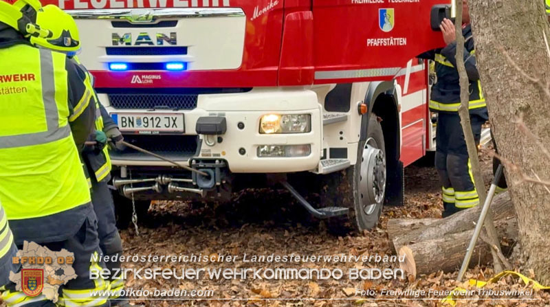 20251127_Person in Tribuswinkel unter Baum eingeklemmt - Feuerwehr kann Mann retten Foto: Thomas Rsach FF Tribuswinkel 20251127_Person in Tribuswinkel unter Baum eingeklemmt - Feuerwehr kann Mann retten Foto: Thomas Rsach FF Tribuswinkel