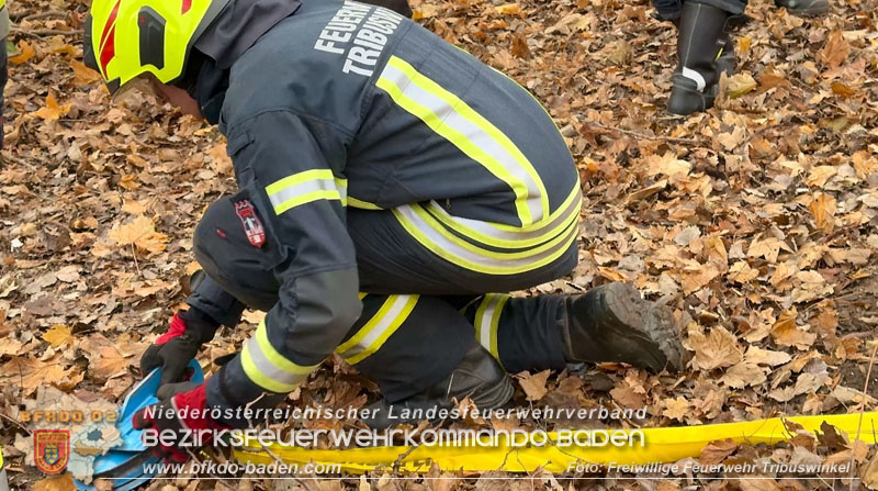 20251127_Person in Tribuswinkel unter Baum eingeklemmt - Feuerwehr kann Mann retten Foto: Thomas Rsach FF Tribuswinkel 20251127_Person in Tribuswinkel unter Baum eingeklemmt - Feuerwehr kann Mann retten Foto: Thomas Rsach FF Tribuswinkel