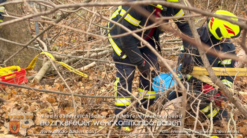 20251127_Person in Tribuswinkel unter Baum eingeklemmt - Feuerwehr kann Mann retten Foto: Thomas Rsach FF Tribuswinkel 20251127_Person in Tribuswinkel unter Baum eingeklemmt - Feuerwehr kann Mann retten Foto: Thomas Rsach FF Tribuswinkel