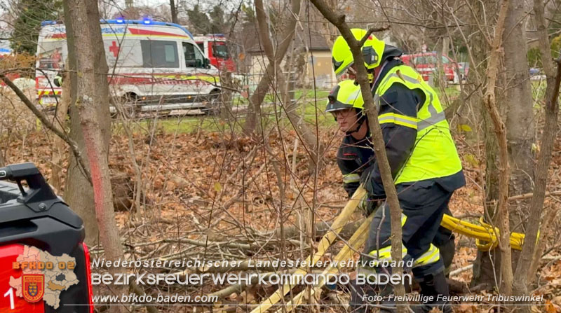 20251127_Person in Tribuswinkel unter Baum eingeklemmt - Feuerwehr kann Mann retten Foto: Thomas Rsach FF Tribuswinkel 20251127_Person in Tribuswinkel unter Baum eingeklemmt - Feuerwehr kann Mann retten Foto: Thomas Rsach FF Tribuswinkel
