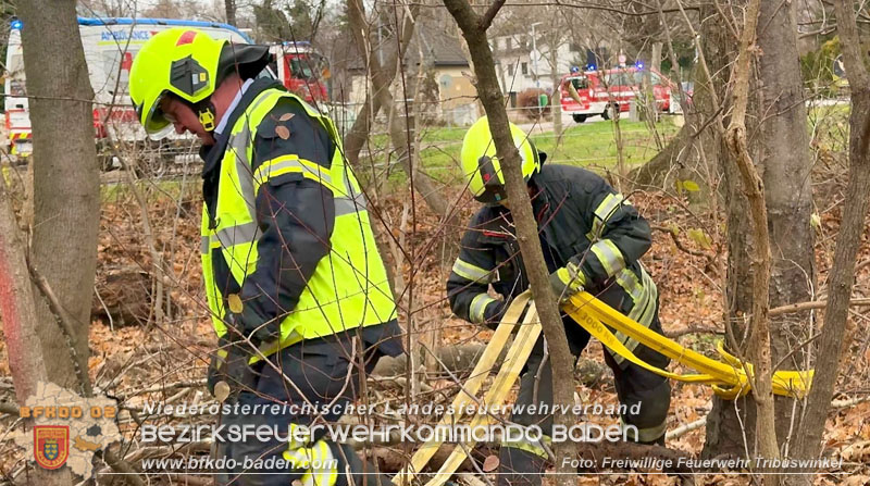 20251127_Person in Tribuswinkel unter Baum eingeklemmt - Feuerwehr kann Mann retten Foto: Thomas Rsach FF Tribuswinkel 20251127_Person in Tribuswinkel unter Baum eingeklemmt - Feuerwehr kann Mann retten Foto: Thomas Rsach FF Tribuswinkel