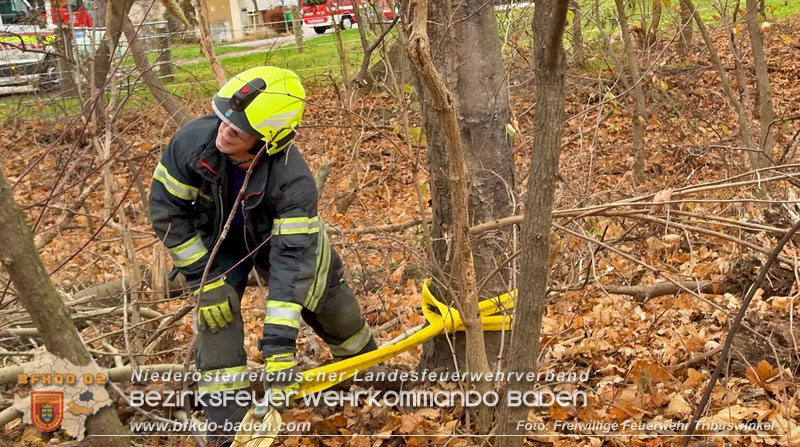 20251127_Person in Tribuswinkel unter Baum eingeklemmt - Feuerwehr kann Mann retten Foto: Thomas Rsach FF Tribuswinkel 20251127_Person in Tribuswinkel unter Baum eingeklemmt - Feuerwehr kann Mann retten Foto: Thomas Rsach FF Tribuswinkel