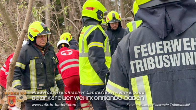 20251127_Person in Tribuswinkel unter Baum eingeklemmt - Feuerwehr kann Mann retten Foto: Thomas Rsach FF Tribuswinkel 20251127_Person in Tribuswinkel unter Baum eingeklemmt - Feuerwehr kann Mann retten Foto: Thomas Rsach FF Tribuswinkel
