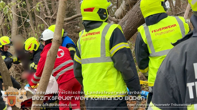 20251127_Person in Tribuswinkel unter Baum eingeklemmt - Feuerwehr kann Mann retten Foto: Thomas Rsach FF Tribuswinkel 20251127_Person in Tribuswinkel unter Baum eingeklemmt - Feuerwehr kann Mann retten Foto: Thomas Rsach FF Tribuswinkel