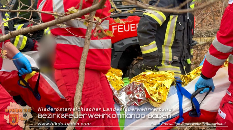 20251127_Person in Tribuswinkel unter Baum eingeklemmt - Feuerwehr kann Mann retten Foto: Thomas Rsach FF Tribuswinkel 20251127_Person in Tribuswinkel unter Baum eingeklemmt - Feuerwehr kann Mann retten Foto: Thomas Rsach FF Tribuswinkel