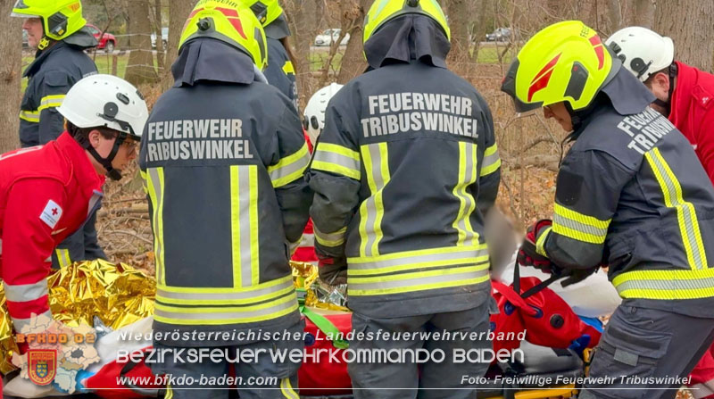 20251127_Person in Tribuswinkel unter Baum eingeklemmt - Feuerwehr kann Mann retten Foto: Thomas Rsach FF Tribuswinkel 20251127_Person in Tribuswinkel unter Baum eingeklemmt - Feuerwehr kann Mann retten Foto: Thomas Rsach FF Tribuswinkel