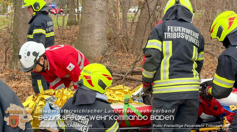 20251127_Person in Tribuswinkel unter Baum eingeklemmt - Feuerwehr kann Mann retten Foto: Thomas Rsach FF Tribuswinkel 20251127_Person in Tribuswinkel unter Baum eingeklemmt - Feuerwehr kann Mann retten Foto: Thomas Rsach FF Tribuswinkel