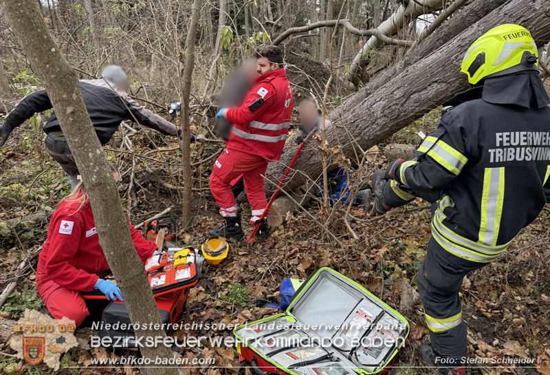 20251127_Person in Tribuswinkel unter Baum eingeklemmt - Feuerwehr kann Mann retten   Foto: Stefan Schneider BFKDO BADEN