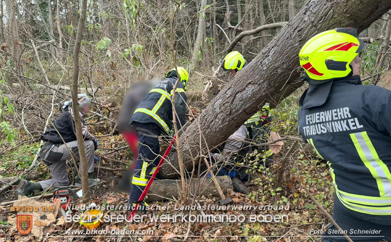 20251127_Person in Tribuswinkel unter Baum eingeklemmt - Feuerwehr kann Mann retten Foto: Stefan Schneider BFKDO BADEN 20251127_Person in Tribuswinkel unter Baum eingeklemmt - Feuerwehr kann Mann retten Foto: Stefan Schneider BFKDO BADEN