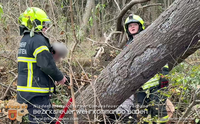 20251127_Person in Tribuswinkel unter Baum eingeklemmt - Feuerwehr kann Mann retten Foto: Stefan Schneider BFKDO BADEN 20251127_Person in Tribuswinkel unter Baum eingeklemmt - Feuerwehr kann Mann retten Foto: Stefan Schneider BFKDO BADEN