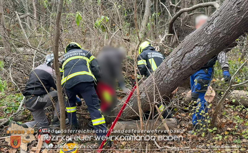 20251127_Person in Tribuswinkel unter Baum eingeklemmt - Feuerwehr kann Mann retten Foto: Stefan Schneider BFKDO BADEN 20251127_Person in Tribuswinkel unter Baum eingeklemmt - Feuerwehr kann Mann retten Foto: Stefan Schneider BFKDO BADEN