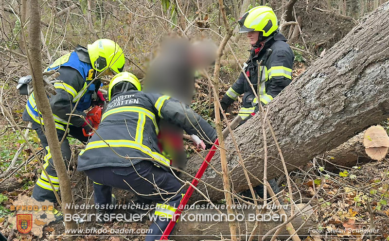 20251127_Person in Tribuswinkel unter Baum eingeklemmt - Feuerwehr kann Mann retten Foto: Stefan Schneider BFKDO BADEN 20251127_Person in Tribuswinkel unter Baum eingeklemmt - Feuerwehr kann Mann retten Foto: Stefan Schneider BFKDO BADEN