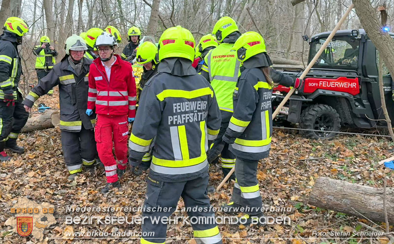 20251127_Person in Tribuswinkel unter Baum eingeklemmt - Feuerwehr kann Mann retten Foto: Stefan Schneider BFKDO BADEN 20251127_Person in Tribuswinkel unter Baum eingeklemmt - Feuerwehr kann Mann retten Foto: Stefan Schneider BFKDO BADEN