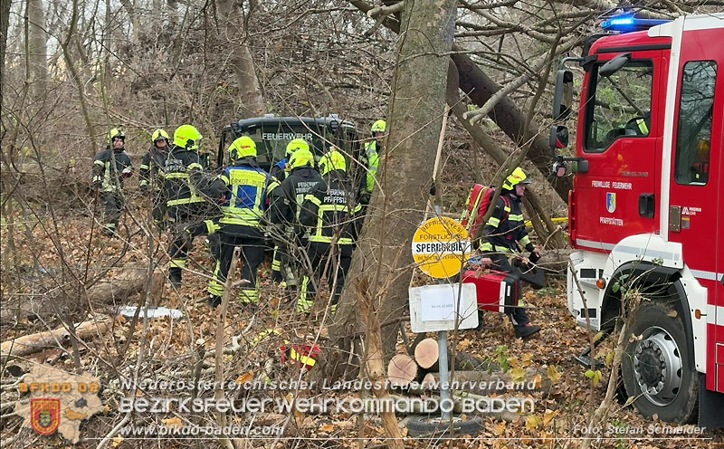 20251127_Person in Tribuswinkel unter Baum eingeklemmt - Feuerwehr kann Mann retten Foto: Stefan Schneider BFKDO BADEN 20251127_Person in Tribuswinkel unter Baum eingeklemmt - Feuerwehr kann Mann retten Foto: Stefan Schneider BFKDO BADEN
