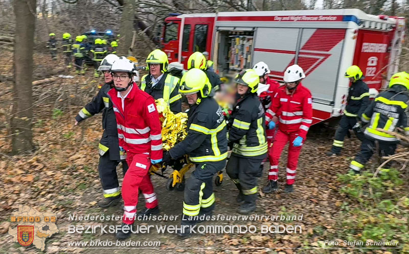 20251127_Person in Tribuswinkel unter Baum eingeklemmt - Feuerwehr kann Mann retten Foto: Stefan Schneider BFKDO BADEN 20251127_Person in Tribuswinkel unter Baum eingeklemmt - Feuerwehr kann Mann retten Foto: Stefan Schneider BFKDO BADEN