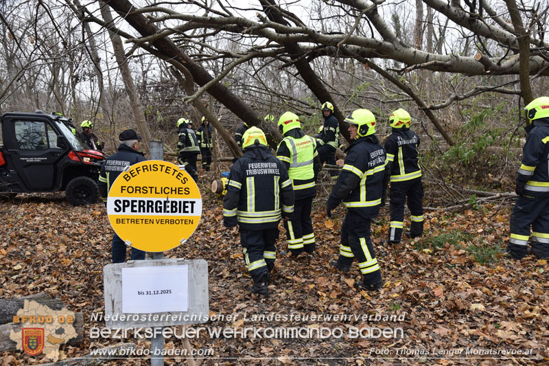20251127_Person in Tribuswinkel unter Baum eingeklemmt - Feuerwehr kann Mann retten Foto: Thomas Lenger Monatsrevue.at 20251127_Person in Tribuswinkel unter Baum eingeklemmt - Feuerwehr kann Mann retten Foto: Thomas Lenger Monatsrevue.at