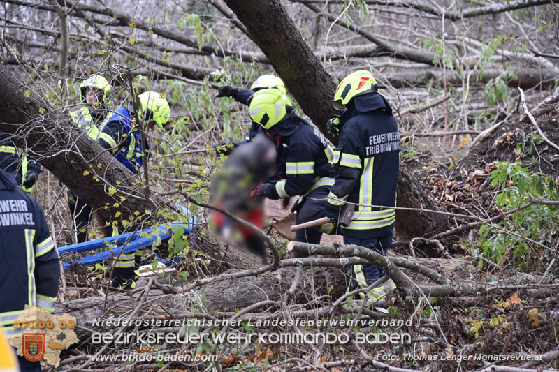 20251127_Person in Tribuswinkel unter Baum eingeklemmt - Feuerwehr kann Mann retten Foto: Thomas Lenger Monatsrevue.at 20251127_Person in Tribuswinkel unter Baum eingeklemmt - Feuerwehr kann Mann retten Foto: Thomas Lenger Monatsrevue.at