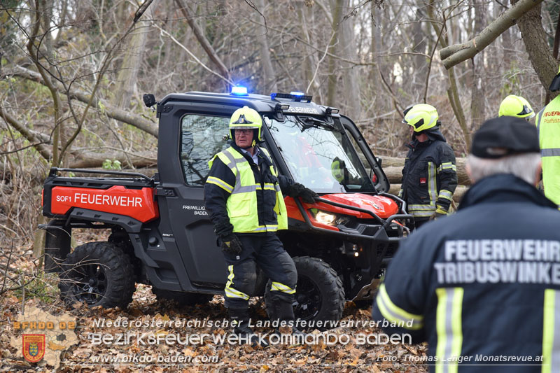 20251127_Person in Tribuswinkel unter Baum eingeklemmt - Feuerwehr kann Mann retten Foto: Thomas Lenger Monatsrevue.at 20251127_Person in Tribuswinkel unter Baum eingeklemmt - Feuerwehr kann Mann retten Foto: Thomas Lenger Monatsrevue.at