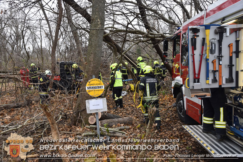 20251127_Person in Tribuswinkel unter Baum eingeklemmt - Feuerwehr kann Mann retten Foto: Thomas Lenger Monatsrevue.at 20251127_Person in Tribuswinkel unter Baum eingeklemmt - Feuerwehr kann Mann retten Foto: Thomas Lenger Monatsrevue.at