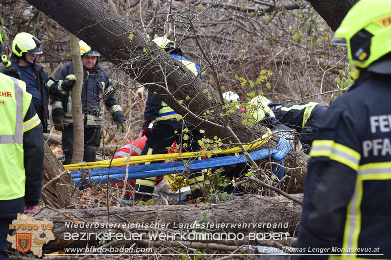 20251127_Person in Tribuswinkel unter Baum eingeklemmt - Feuerwehr kann Mann retten Foto: Thomas Lenger Monatsrevue.at 20251127_Person in Tribuswinkel unter Baum eingeklemmt - Feuerwehr kann Mann retten Foto: Thomas Lenger Monatsrevue.at