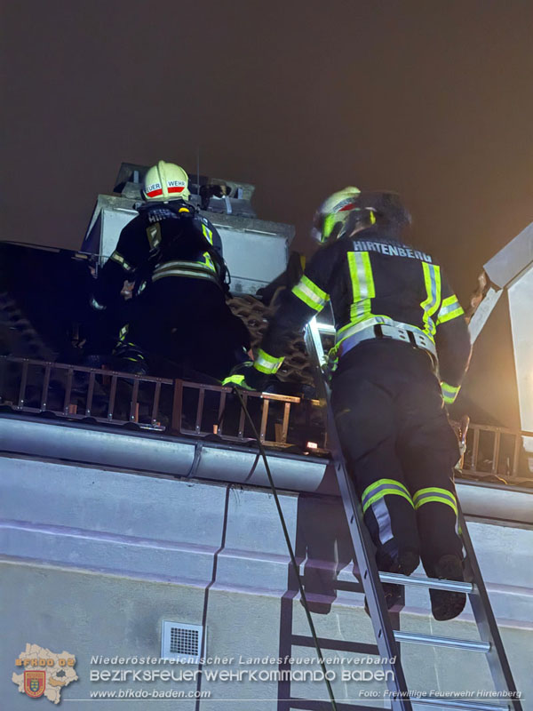 20251214_Katzenrettung mit Happy End in Hirtenberg Foto: FF Hirtenberg 20251214_Katzenrettung mit Happy End in Hirtenberg Foto: FF Hirtenberg