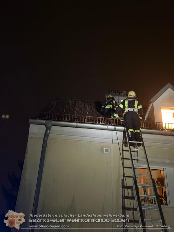 20251214_Katzenrettung mit Happy End in Hirtenberg Foto: FF Hirtenberg 20251214_Katzenrettung mit Happy End in Hirtenberg Foto: FF Hirtenberg