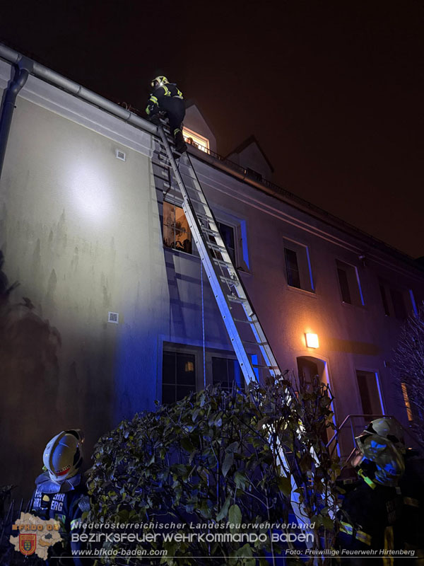 20251214_Katzenrettung mit Happy End in Hirtenberg Foto: FF Hirtenberg 20251214_Katzenrettung mit Happy End in Hirtenberg Foto: FF Hirtenberg