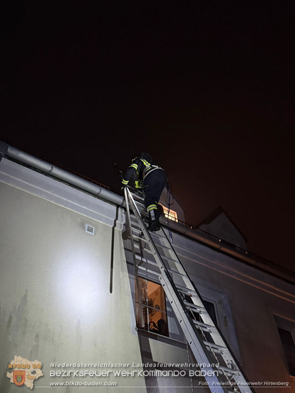 20251214_Katzenrettung mit Happy End in Hirtenberg Foto: FF Hirtenberg 20251214_Katzenrettung mit Happy End in Hirtenberg Foto: FF Hirtenberg
