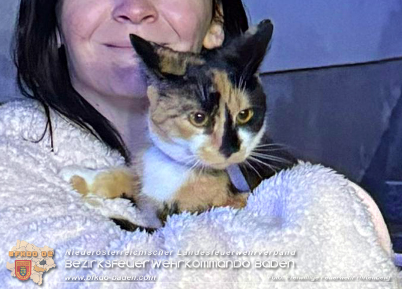 20251214_Katzenrettung mit Happy End in Hirtenberg Foto: FF Hirtenberg 20251214_Katzenrettung mit Happy End in Hirtenberg Foto: FF Hirtenberg