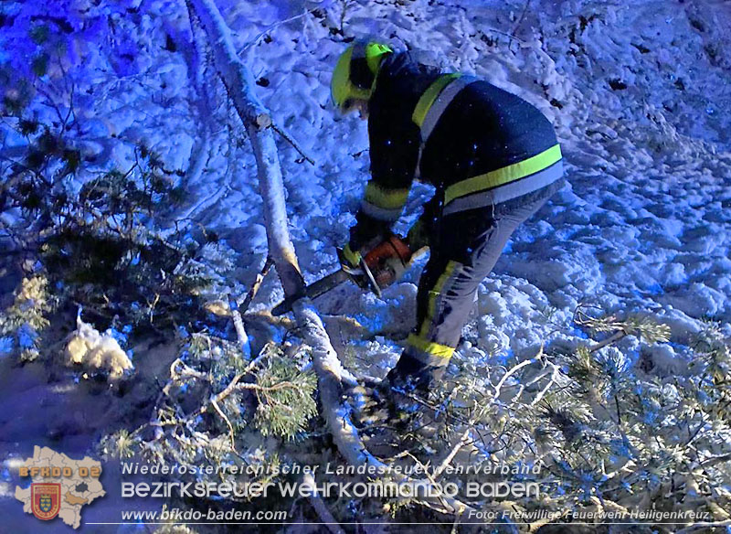 20251225_Umgest�rzter Baum ragt auf der B210 in Fahrbahn   Foto: Freiwillige Feuerwehr Heiligenkreuz
