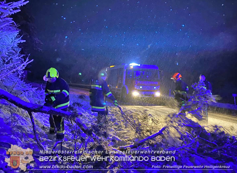 20251225_Umgest�rzter Baum ragt auf der B210 in Fahrbahn   Foto: Freiwillige Feuerwehr Heiligenkreuz