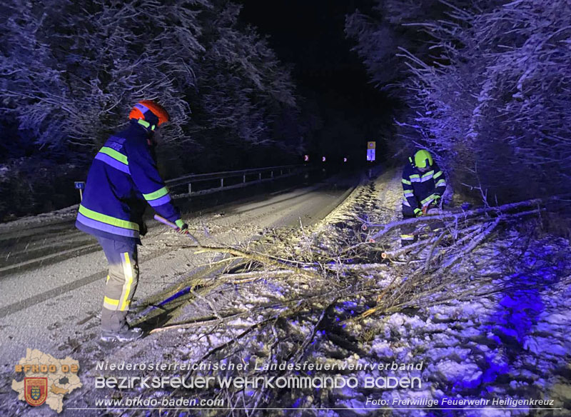20251225_Umgest�rzter Baum ragt auf der B210 in Fahrbahn   Foto: Freiwillige Feuerwehr Heiligenkreuz