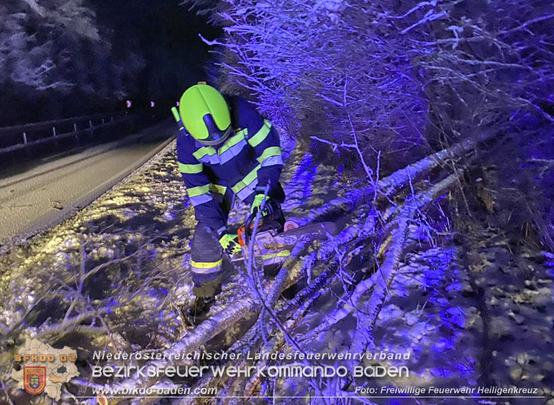 20251225_Umgest�rzter Baum ragt auf der B210 in Fahrbahn   Foto: Freiwillige Feuerwehr Heiligenkreuz