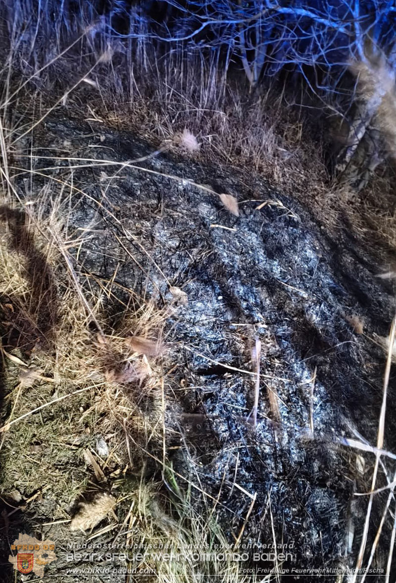 20251231_Flurbrand in Mitterndorf an der Fischa Foto: FF Mitterndorf/Fischa 20251231_Flurbrand in Mitterndorf an der Fischa Foto: FF Mitterndorf/Fischa