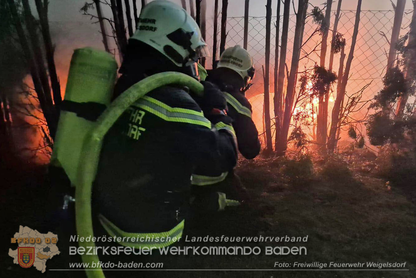 20260101_Brand einer Thujenhecke greift auf PKW über in Ebreichsdorf Foto: FF Weigelsdorf 20260101_Brand einer Thujenhecke greift auf PKW über in Ebreichsdorf Foto: FF Weigelsdorf