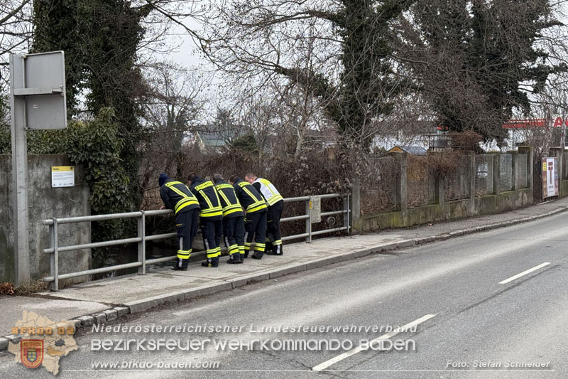 20260130_Rasche Entwarnung bei Gew�sserverunreinigung in der Fischa-Dagnitz  Foto: Stefan Schneider BFKDO BADEN