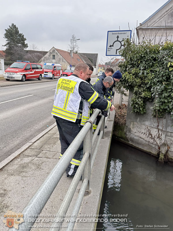 20260130_Rasche Entwarnung bei Gew�sserverunreinigung in der Fischa-Dagnitz  Foto: Stefan Schneider BFKDO BADEN