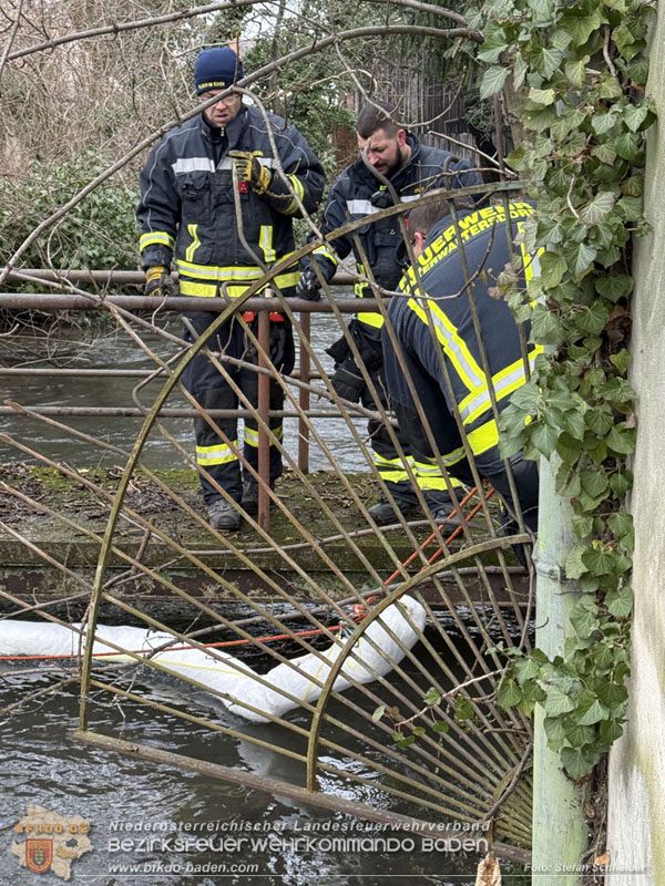 20260130_Rasche Entwarnung bei Gew�sserverunreinigung in der Fischa-Dagnitz  Foto: Stefan Schneider BFKDO BADEN