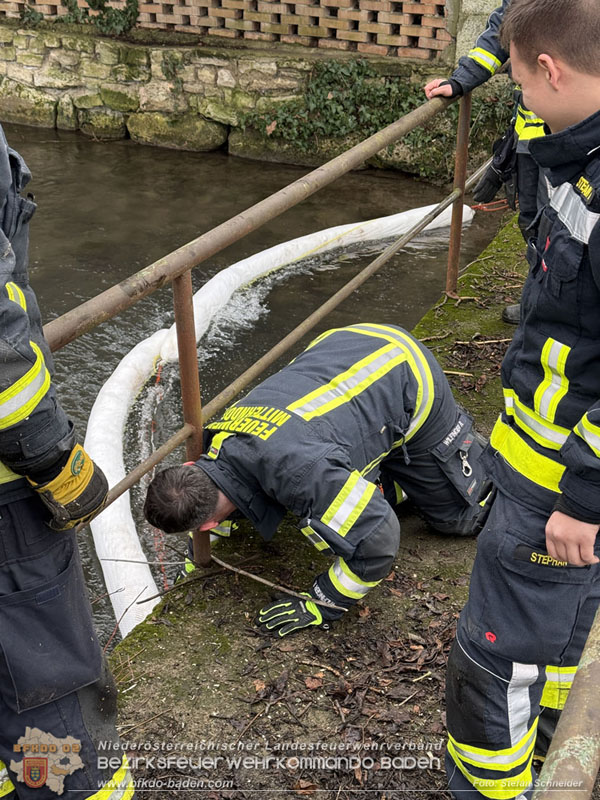 20260130_Rasche Entwarnung bei Gew�sserverunreinigung in der Fischa-Dagnitz  Foto: Stefan Schneider BFKDO BADEN