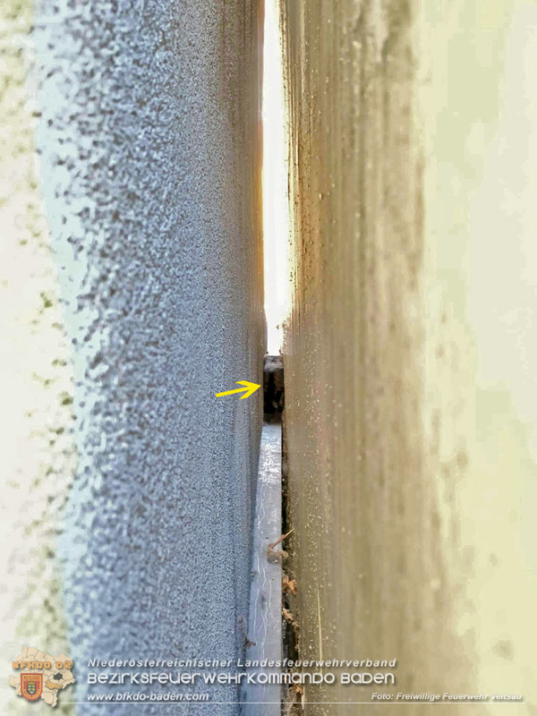 20260226_Für Kater „Peterl" gabs kein Vor und auch kein Zurück in Veitsau NÖ Bezirk Baden Foto: FF Veitsau 20260226_Für Kater „Peterl" gabs kein Vor und auch kein Zurück in Veitsau NÖ Bezirk Baden Foto: FF Veitsau