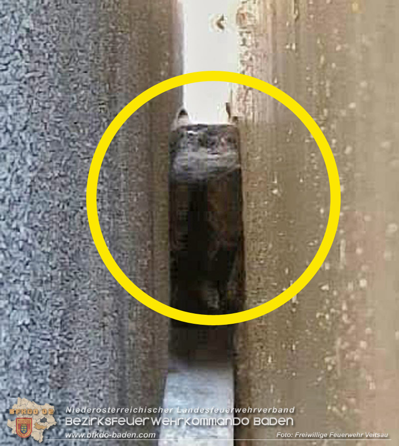 20260226_Für Kater „Peterl" gabs kein Vor und auch kein Zurück in Veitsau NÖ Bezirk Baden Foto: FF Veitsau 20260226_Für Kater „Peterl" gabs kein Vor und auch kein Zurück in Veitsau NÖ Bezirk Baden Foto: FF Veitsau