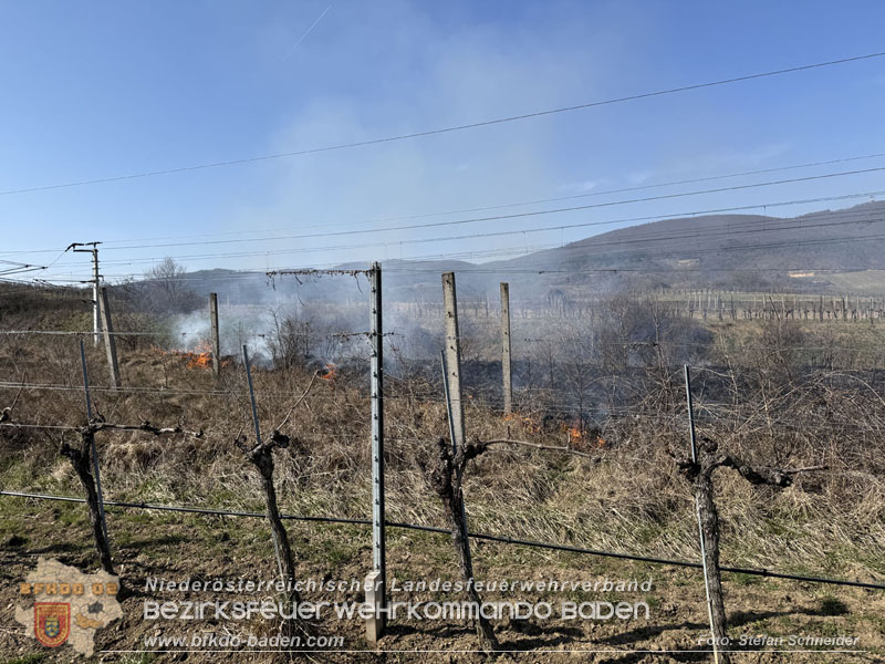 20260308_Brand neben der S�dbahnstrecke  Foto: Stefan Schneider BFKDO BADEN