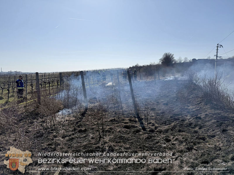 20260308_Brand neben der S�dbahnstrecke  Foto: Stefan Schneider BFKDO BADEN
