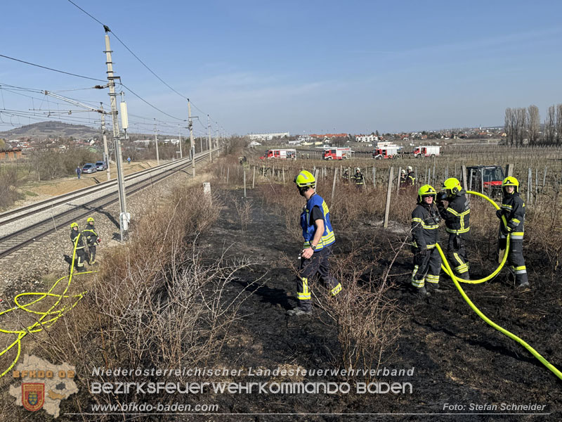 20260308_Brand neben der S�dbahnstrecke  Foto: Stefan Schneider BFKDO BADEN