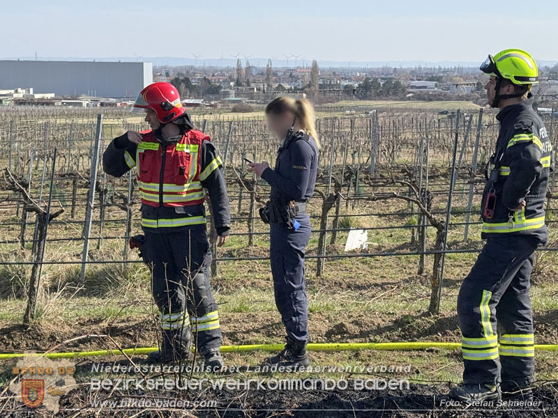 20260308_Brand neben der S�dbahnstrecke  Foto: Stefan Schneider BFKDO BADEN