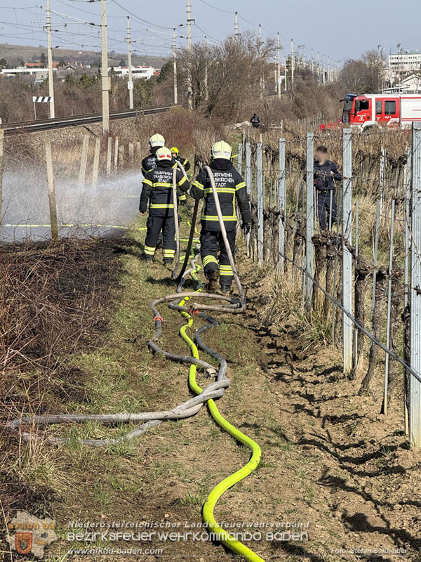 20260308_Brand neben der S�dbahnstrecke  Foto: Stefan Schneider BFKDO BADEN