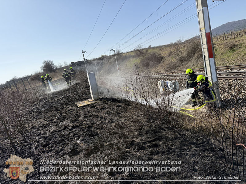 20260308_Brand neben der S�dbahnstrecke  Foto: Stefan Schneider BFKDO BADEN