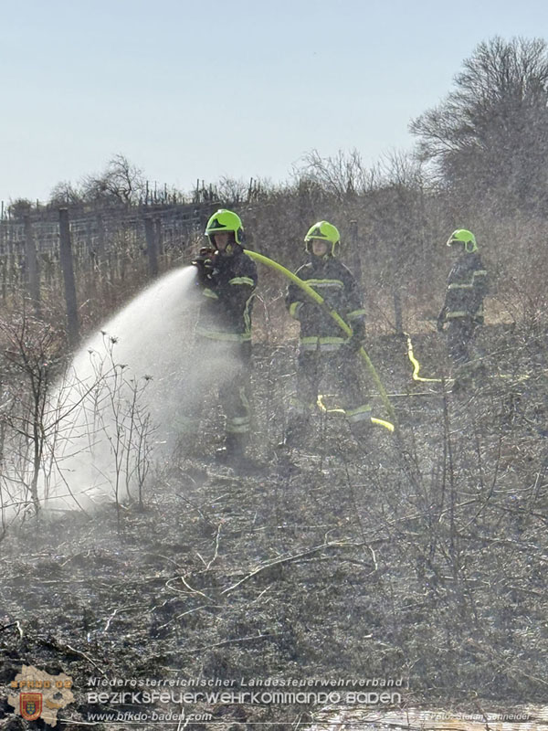 20260308_Brand neben der S�dbahnstrecke  Foto: Stefan Schneider BFKDO BADEN