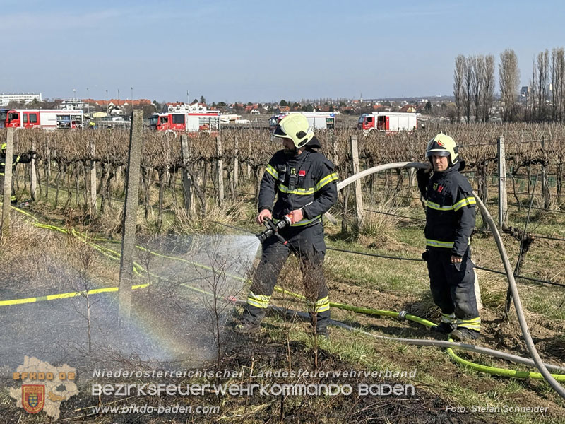 20260308_Brand neben der S�dbahnstrecke  Foto: Stefan Schneider BFKDO BADEN